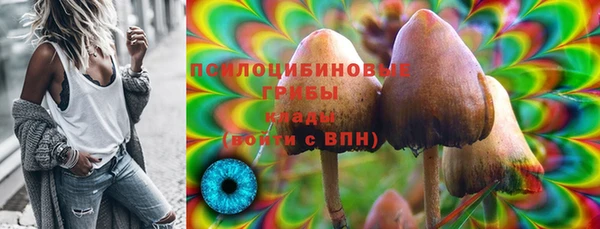 таблы Арсеньев