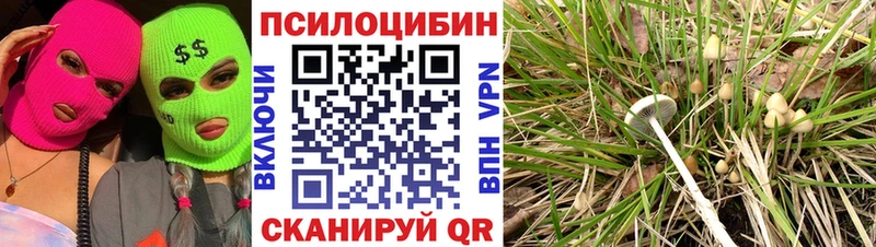 Галлюциногенные грибы ЛСД  Кубинка 